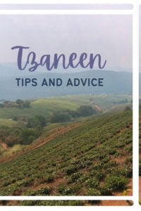 Share Tips and Advice about Tzaneen